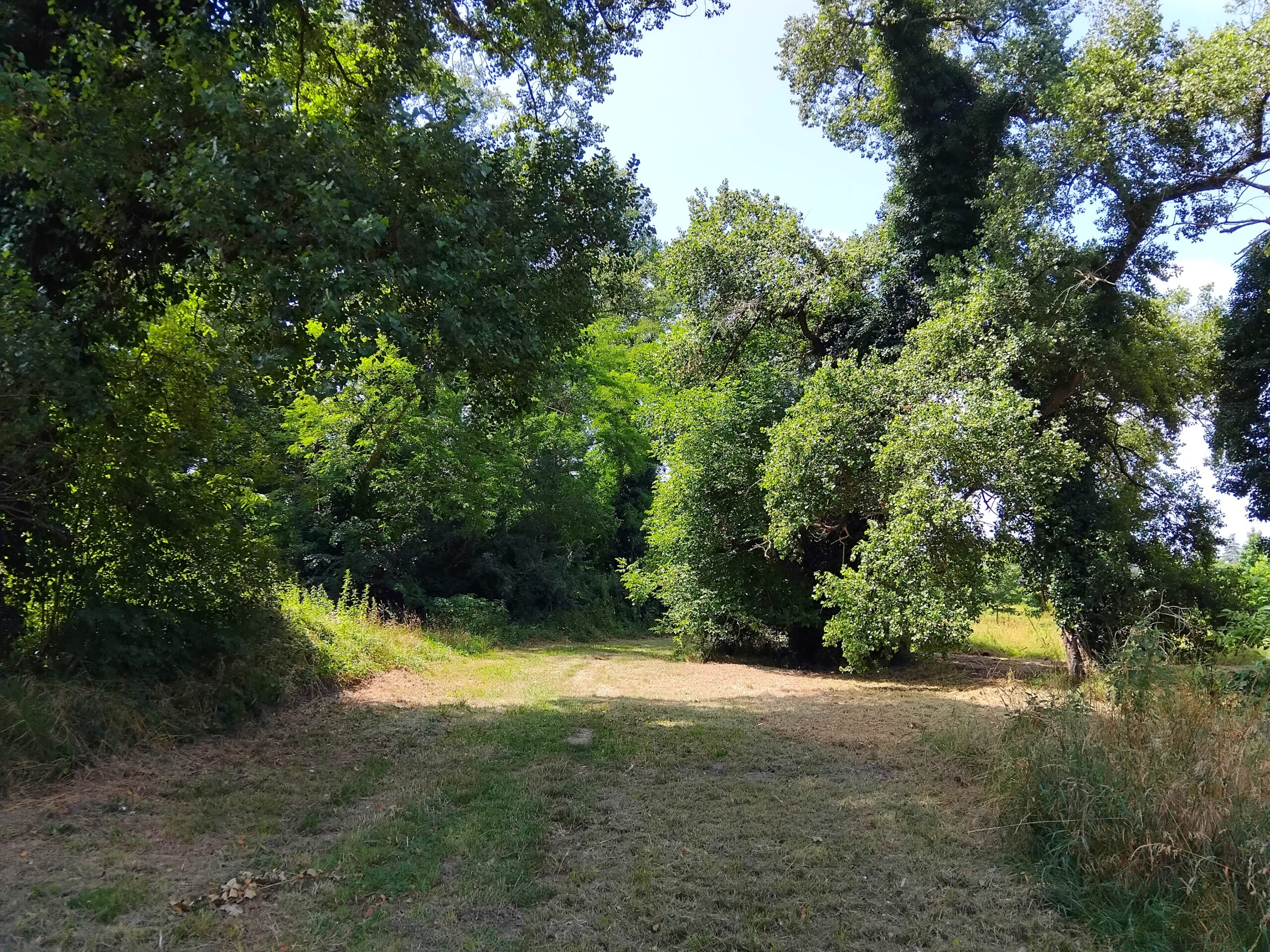Lire la suite à propos de l’article UN BEL APRÈS-MIDI DE DÉCOUVERTE DE PLANTES COURANTES AUX INTÉRESSANTES VERTUS MÉDICINALES À BELLOCQ (64)